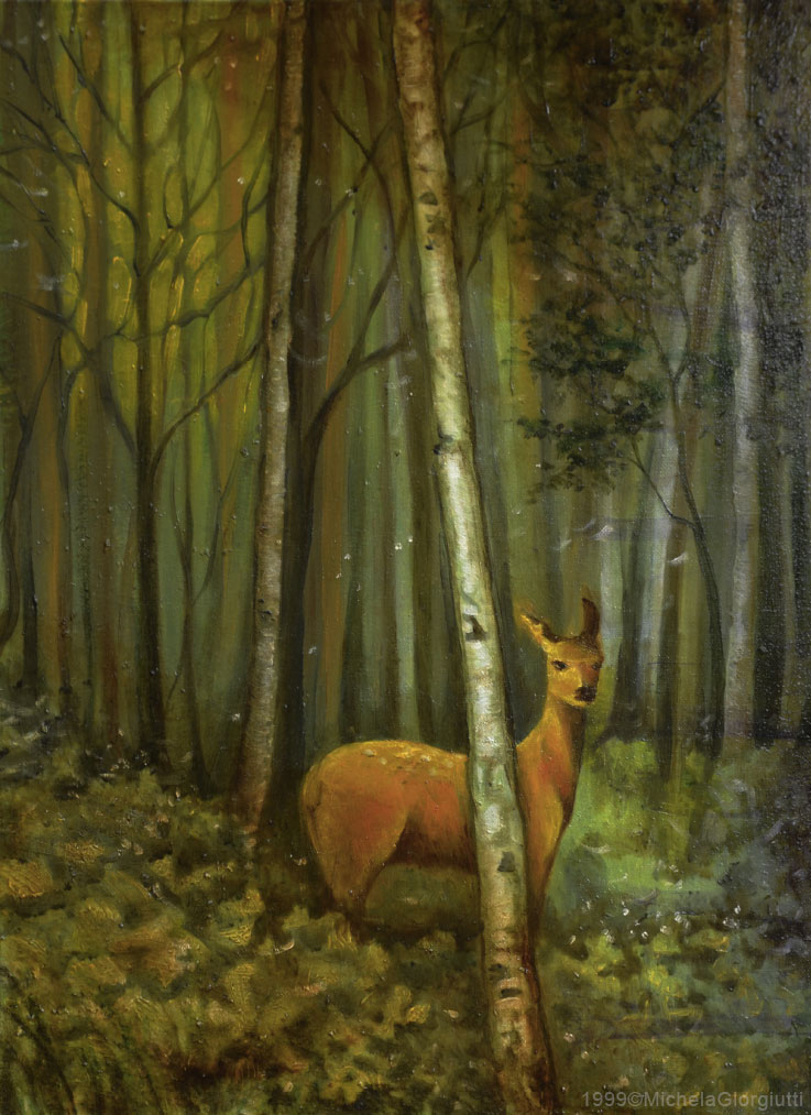 Cerbiatto illuminato da raggio di sole nel bosco