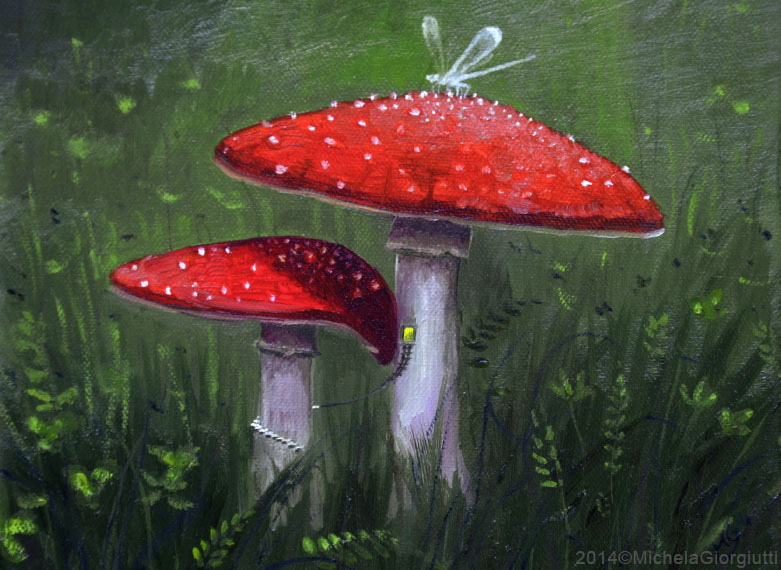 Funghi rossi abitati