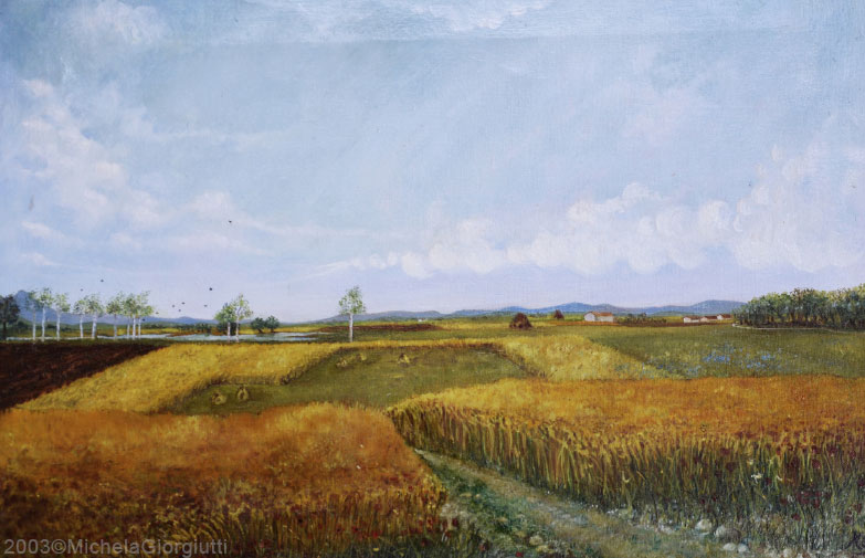 Ampia veduta di campi di frumento