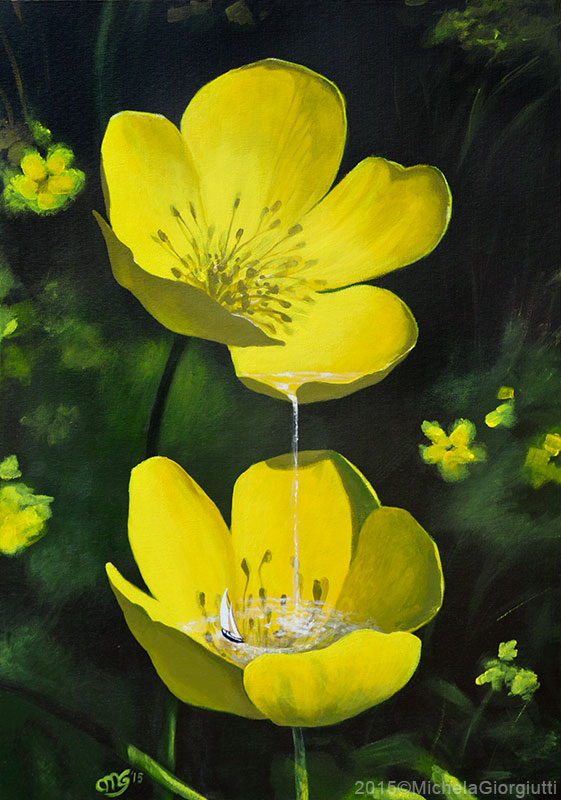 Cascata con barca tra petali di fiore giallo