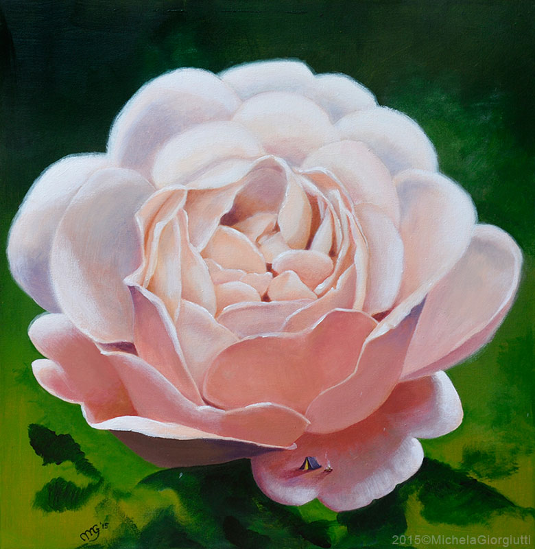 Tenda da campeggio posata sul petalo di una rosa