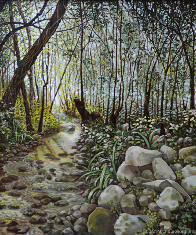 Scorcio di ruscello con raggi di sole riflessi