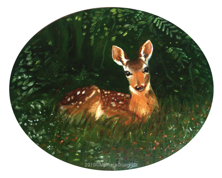 Primo piano di cerbiatto sdraiato sull'erba del sottobosco