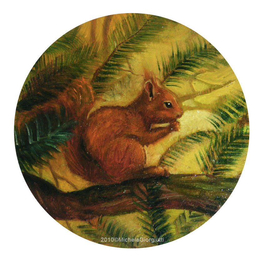 Scoiattolo su ramo di pino mentre mangia una noce