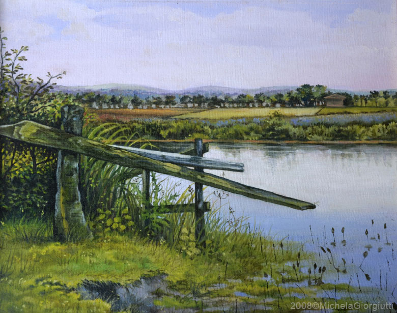 Attracco per barche lungo la riva di un fiume placido