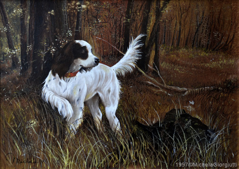 Cane setter bianco in punta a caccia nel bosco con topolino nascosto