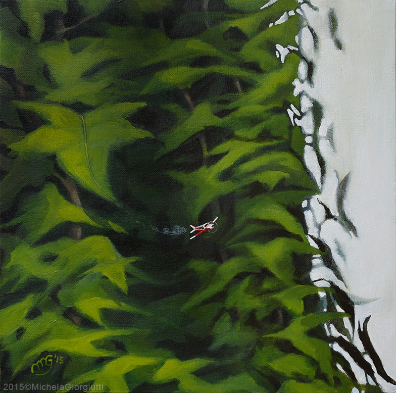 Aeroplano che decolla da foglie di edera