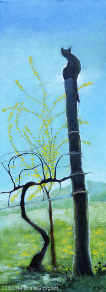 Gatto nero su traliccio di vite