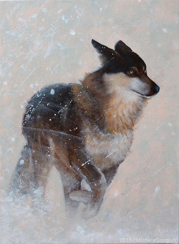 Lupo che corre nella tempesta di neve